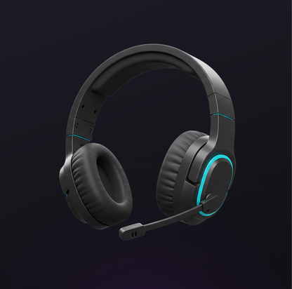 Battle Echo X